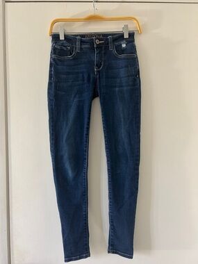 Stretchy Indigo Skinny Jeans / Arizona Jean Company Indigo Skinny Jeans